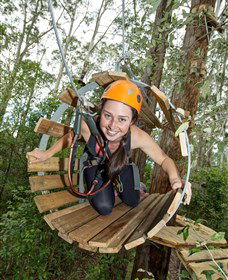 TreeTop Adventure Park Central Coast - Accommodation VIC 3