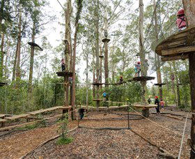 TreeTop Adventure Park Central Coast - Accommodation VIC 5