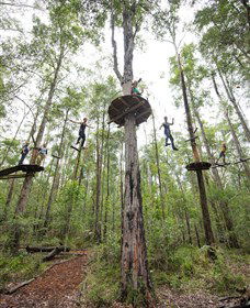 TreeTop Adventure Park Central Coast - Accommodation VIC 4