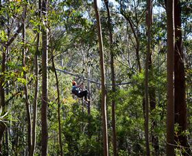 TreeTops Crazy Rider - Accommodation VIC 3