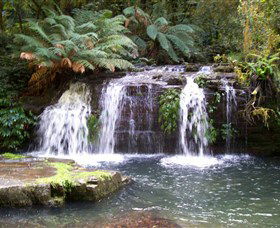 Barrington Tops National Park Walks - Accommodation VIC 0