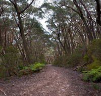 Budawang National Park - Accommodation VIC