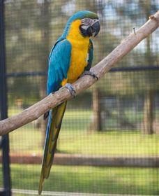 Amazement Farm And Fun Park / Cafe And Farmstay Accommodation - Accommodation VIC 8