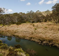 Werrikimbe National Park - Accommodation VIC