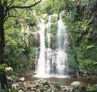 Budderoo National Park - The Falls Walk - Accommodation VIC