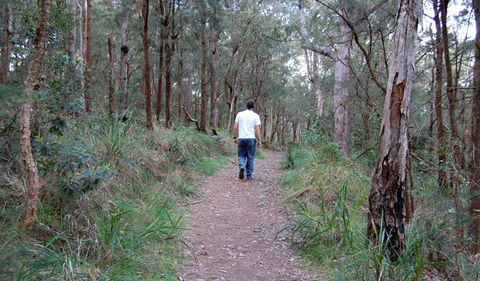 Lake Macquarie State Conservation Area - Accommodation VIC 3