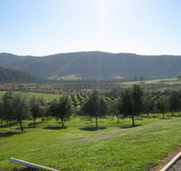 Hastings Valley Olives - Accommodation VIC