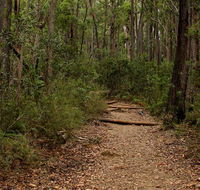 Pigeon House Mountain Didthul walking track - Accommodation VIC