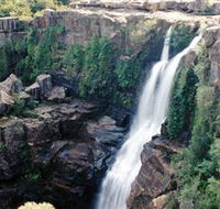 Minnamurra Rainforest Centre Budderoo National Park - Accommodation VIC
