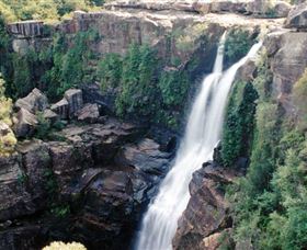 Minnamurra Rainforest Centre: Budderoo National Park - Accommodation VIC 0