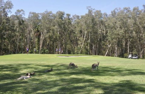 Emerald Downs Golf Course - Accommodation VIC 4