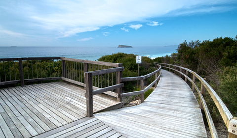 Tea Tree Picnic Area And Lookout - Accommodation VIC 0