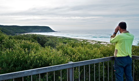 Tea Tree Picnic Area And Lookout - Accommodation VIC 2