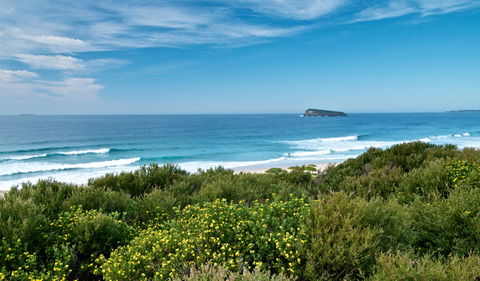 Tea Tree Picnic Area And Lookout - Accommodation VIC 3