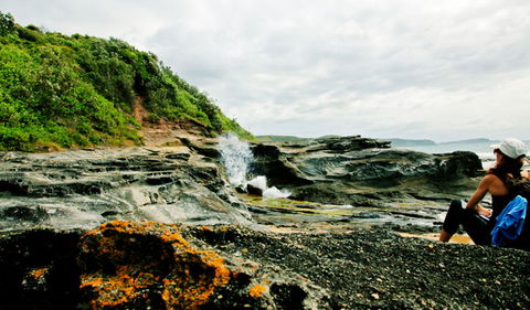 Glenrock State Conservation Area - Accommodation VIC 0