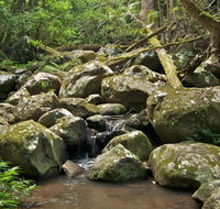 Booyong walking track - Accommodation VIC