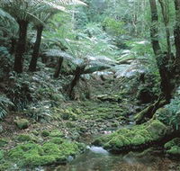 The Corn Trail Walk - Accommodation VIC