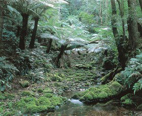 The Corn Trail Walk - Accommodation VIC 0