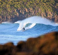 Killalea Beach - Accommodation VIC