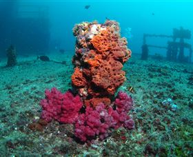 HMAS Brisbane Dive Site - Accommodation VIC 0