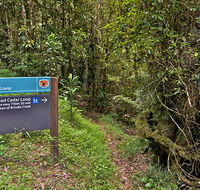 Red Cedar loop - Accommodation VIC