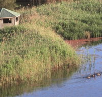 Spring Creek Bird Hide - Accommodation VIC