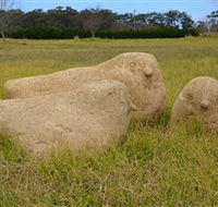 Unreal Rocks Statue Gallery - Accommodation VIC
