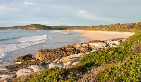 Burrawang Track - Conjola Beach To Buckleys Point - Accommodation VIC 0