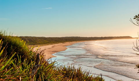 Burrawang Track - Conjola Beach To Buckleys Point - Accommodation VIC 2