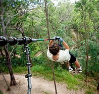TreeTop Challenge - Accommodation VIC