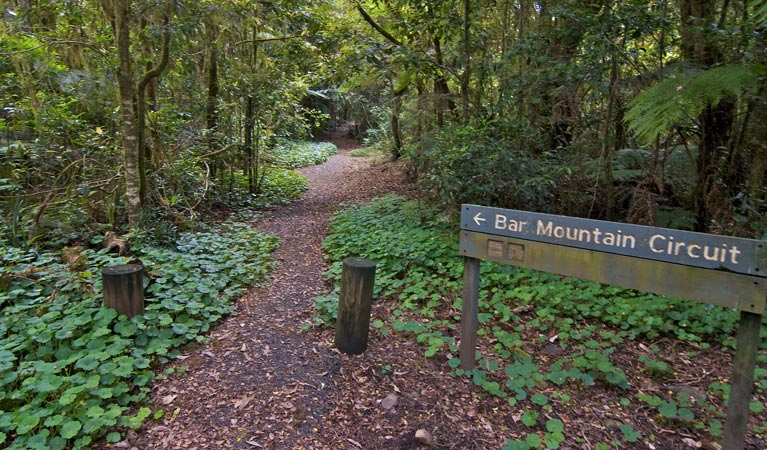 Upper Horseshoe Creek NSW Accommodation VIC
