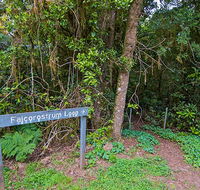 Falcorostrum loop walking track - Accommodation VIC
