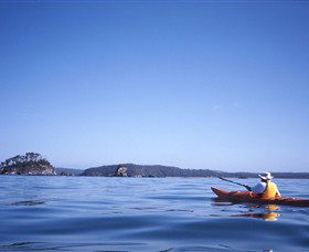 Kayaking Batemans Bay - Accommodation VIC 0