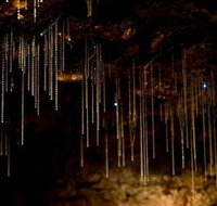 Tamborine Mountain Glow Worm Caves - Accommodation VIC