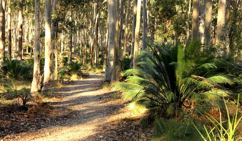 Square Head Track 2 - Accommodation VIC 0