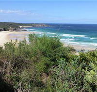 South Pacific Heathland Reserve - Accommodation VIC