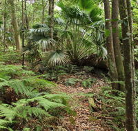 Durras Lake Discovery trail - Accommodation VIC