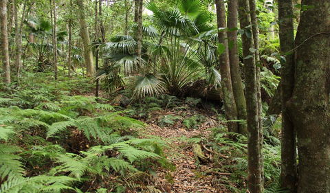 Durras Lake Discovery Trail - Accommodation VIC 0