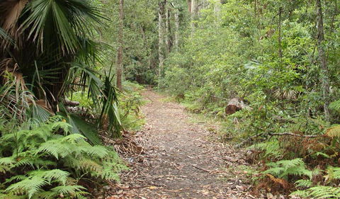 Durras Lake Discovery Trail - Accommodation VIC 1