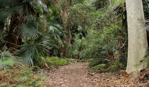 Durras Lake Discovery Trail - Accommodation VIC 2