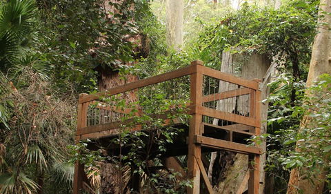 Durras Lake Discovery Trail - Accommodation VIC 3