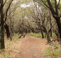 Pretty Beach to Snapper Point walking track - Accommodation VIC