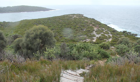 Pretty Beach To Snapper Point Walking Track - Accommodation VIC 2