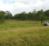 Numinbah Valley Adventure Trails - Accommodation VIC