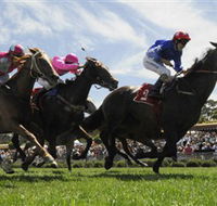 Moruya Racecourse - Accommodation VIC