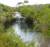 Booderee National Park Green Patch and Telegraph Creek Walking Tracks - Accommodation VIC