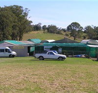 Tinonee Orchid Nursery - Accommodation VIC
