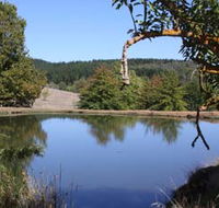 Oak Grove Walk Balingup - Accommodation VIC