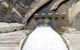 Hinze Dam - thumb 1