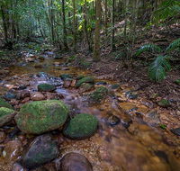 Starrs Creek picnic area - Accommodation VIC
